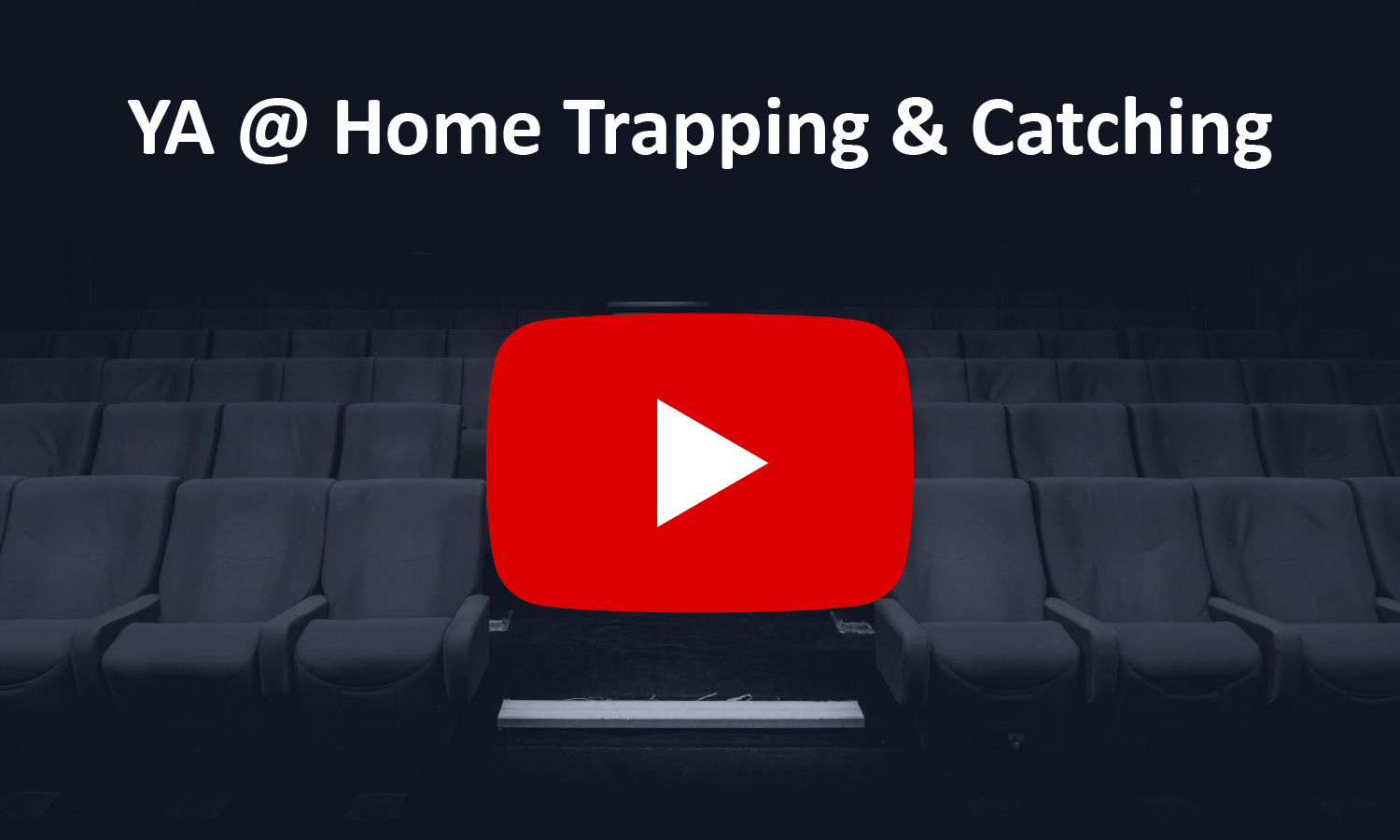 YA Catch